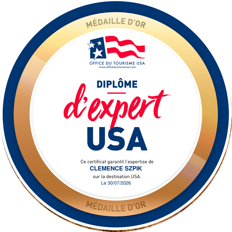 Diplôme d'expert USA, Médaille d'or